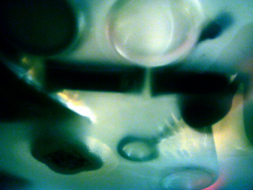 f0100505_14585487.jpg