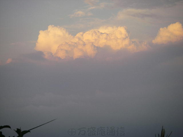 b0172209_8411711.jpg