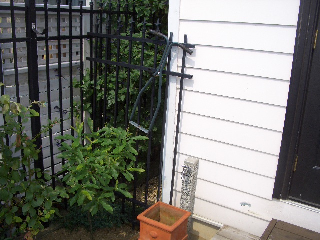 c0116610_21372676.jpg