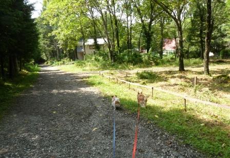 e0078510_20405552.jpg