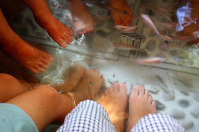 c0116312_13181841.jpg