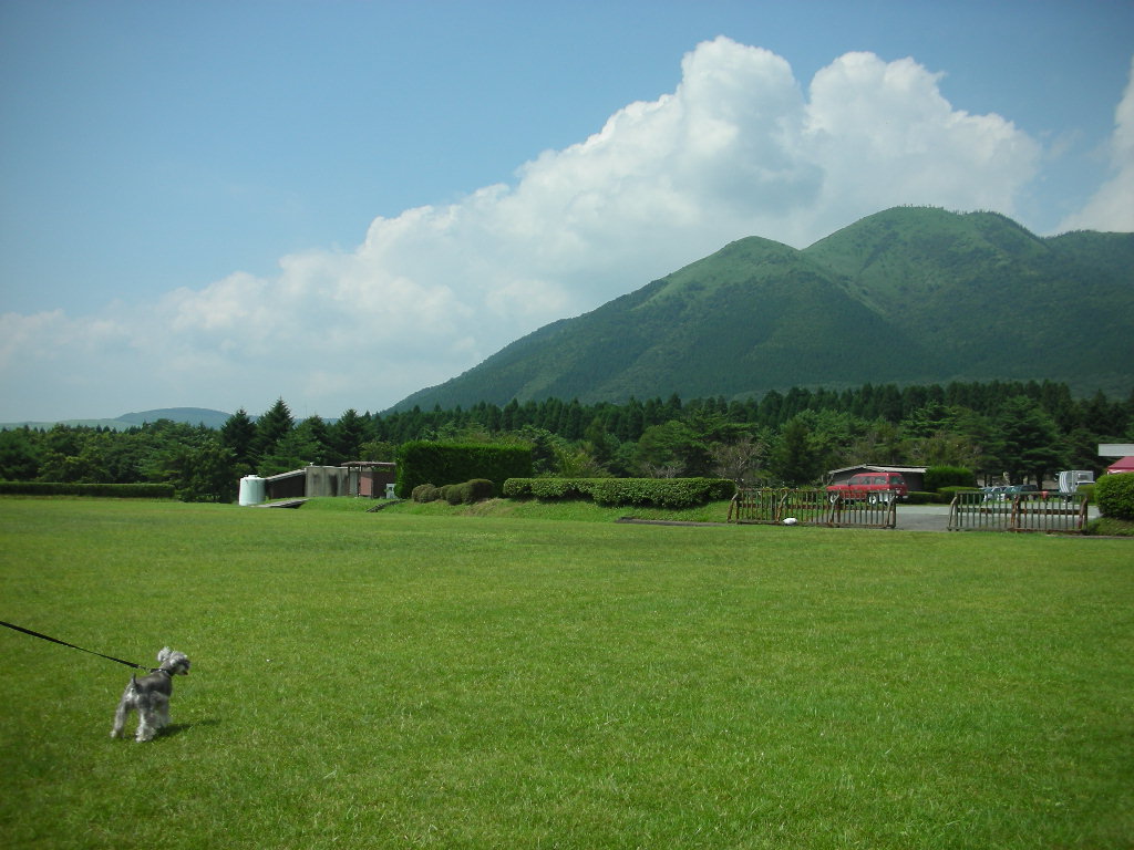 d0149722_1220127.jpg
