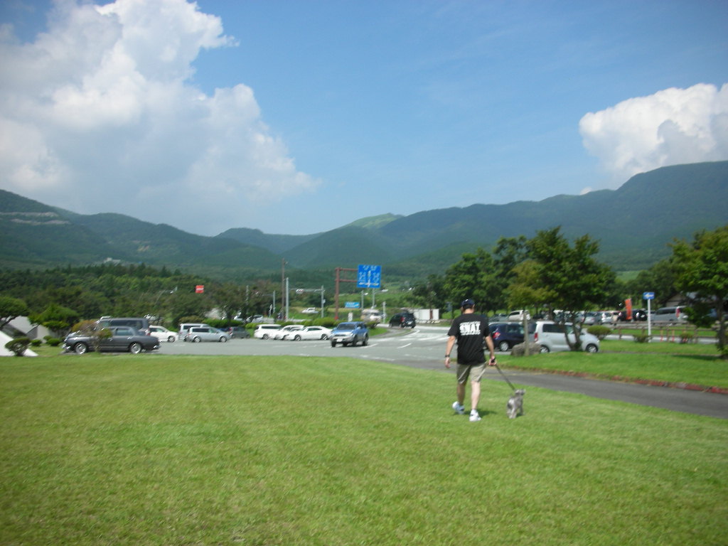 d0149722_1232587.jpg