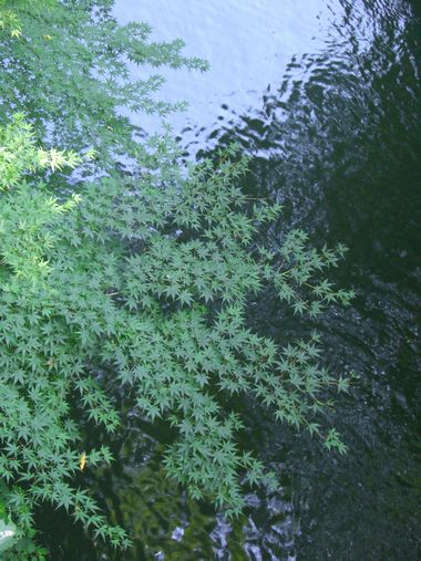 c0152123_1256206.jpg