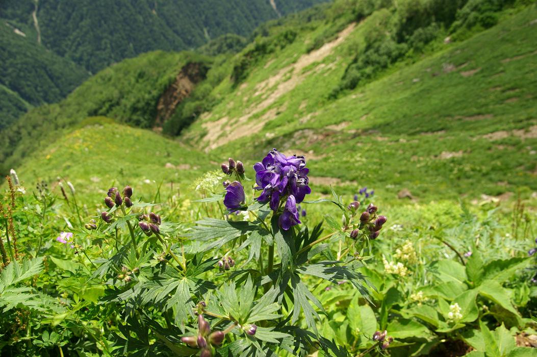 b0062024_7461430.jpg