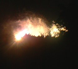 f0060424_8545647.jpg