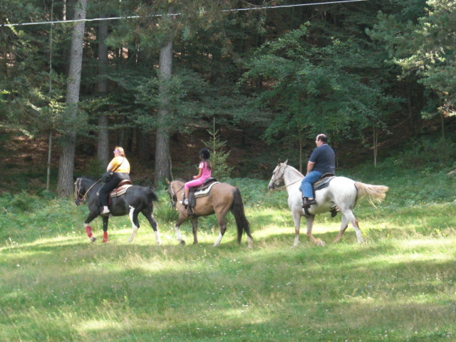f0173324_18473459.jpg