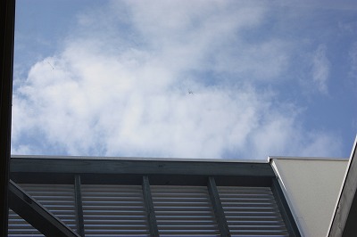 e0181928_2183658.jpg