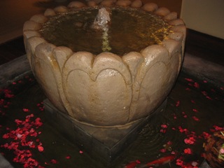 f0162528_1073466.jpg