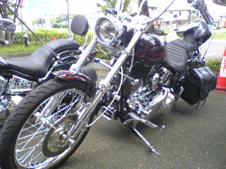 a0099129_12193698.jpg