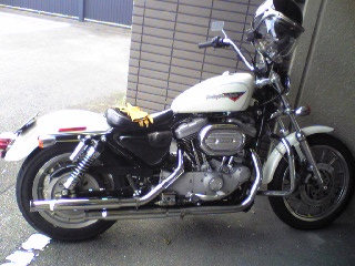 a0099129_1711974.jpg