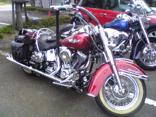 a0099129_1712162.jpg