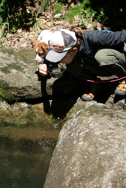 c0035931_2120340.jpg