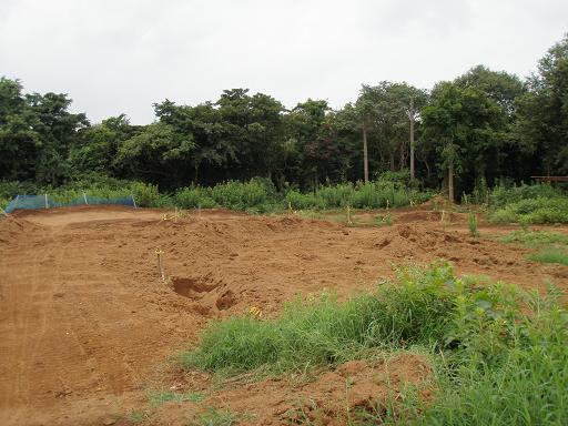 e0129633_219181.jpg