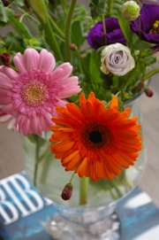 c0100735_04941.jpg