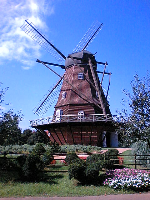 f0104038_18433438.jpg