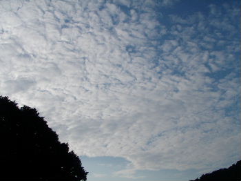 a0054240_21271988.jpg