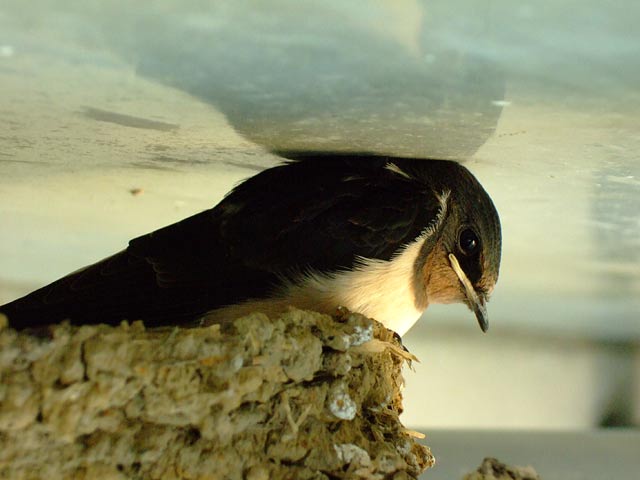 e0006242_1628186.jpg