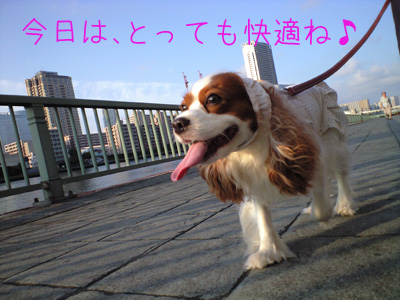 a0120944_1657148.jpg