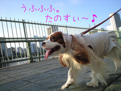 a0120944_16571684.jpg