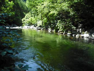 b0180946_23494498.jpg