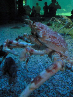 a0130348_191864.jpg