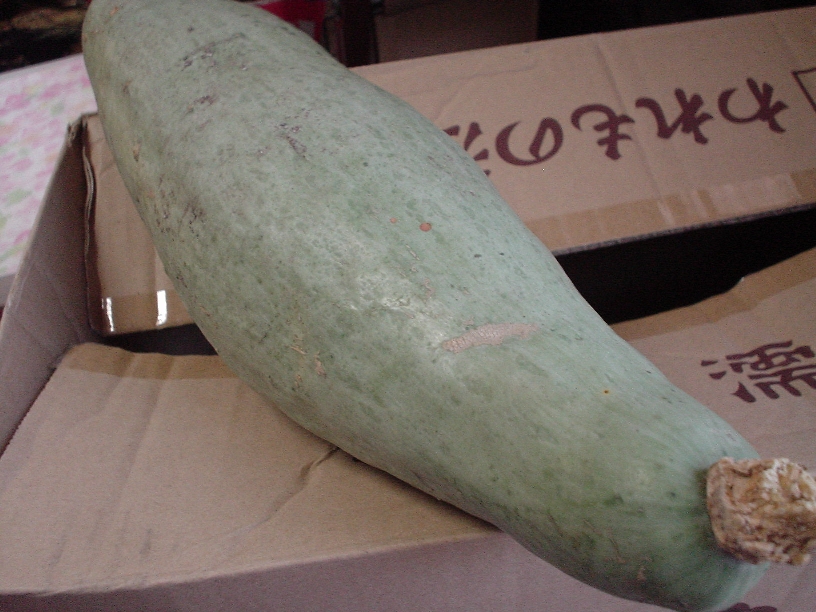 f0191248_9324417.jpg