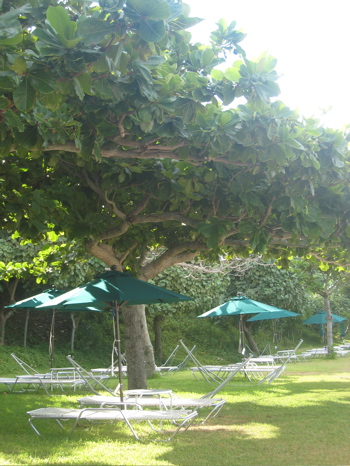 c0153259_2329827.jpg