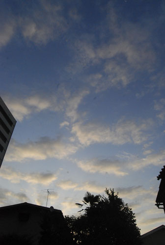 e0140459_20263194.jpg