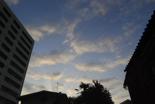 e0140459_20264945.jpg