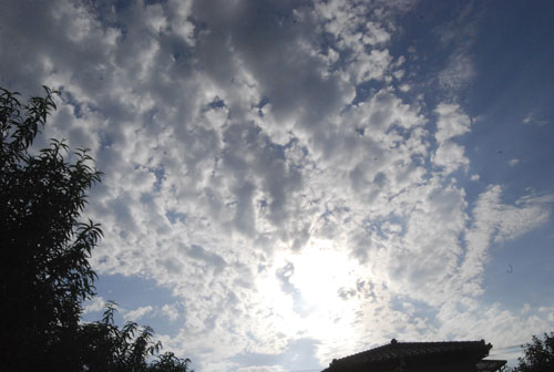 e0140459_2058407.jpg