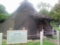c0051760_20391857.jpg