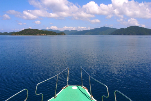 b0062363_2027084.jpg