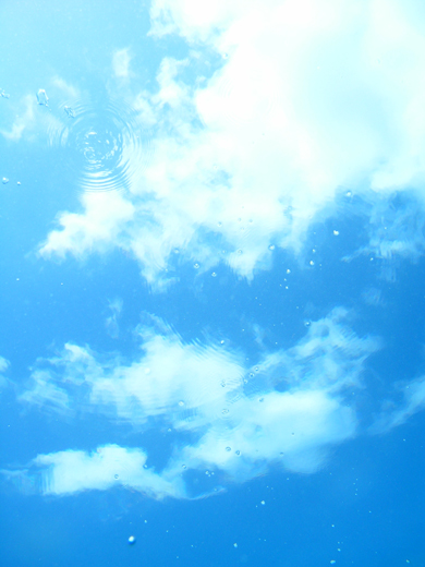 b0062363_20281263.jpg