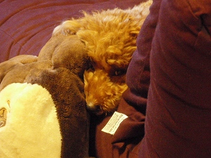c0135363_1242950.jpg