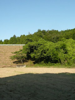 f0055264_21162889.jpg