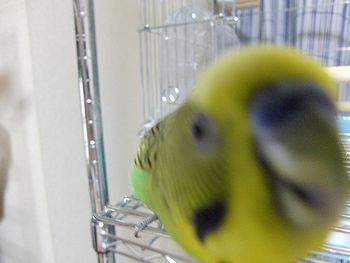f0196665_2336272.jpg