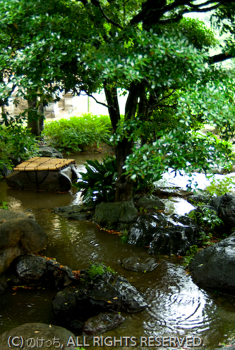 b0136768_1215578.jpg