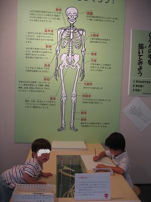 e0031568_1423595.jpg