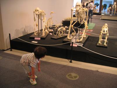 e0031568_1465960.jpg