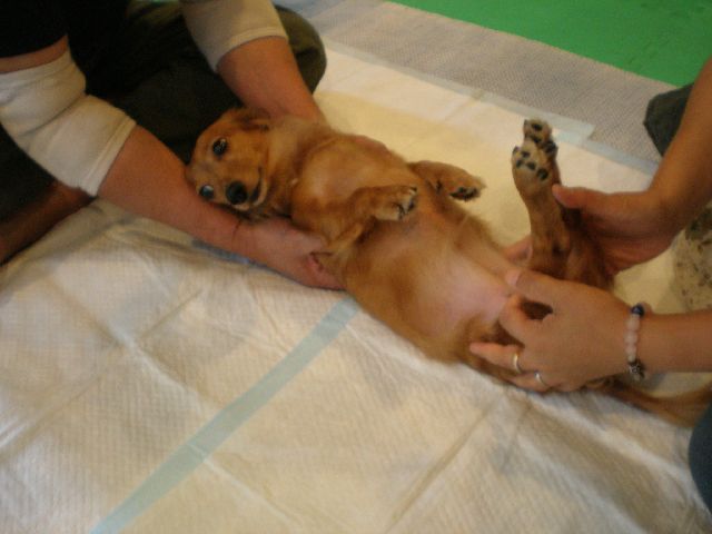 c0138069_0324027.jpg