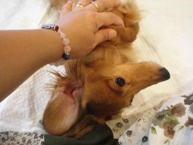 c0138069_0335459.jpg