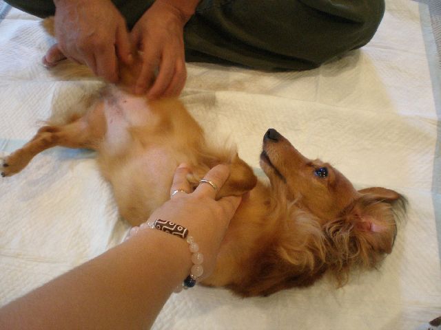 c0138069_034755.jpg