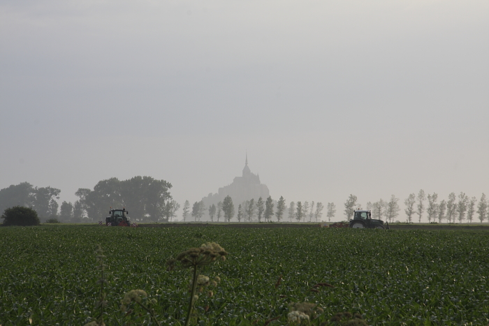 f0135371_9511366.jpg