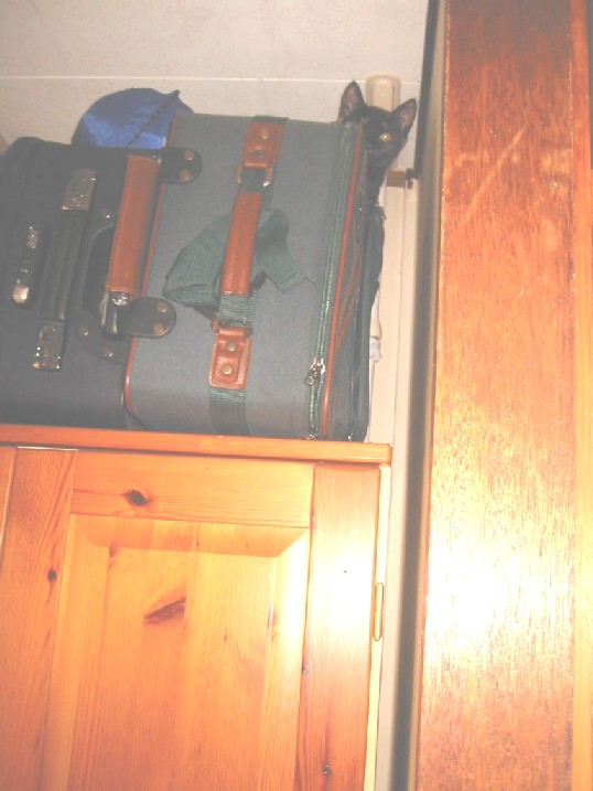 e0031572_2032813.jpg