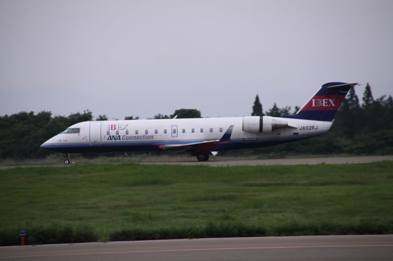c0148781_19381948.jpg