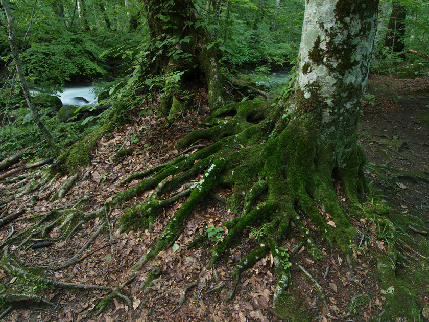 d0152981_11433070.jpg