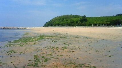 e0039282_2118899.jpg