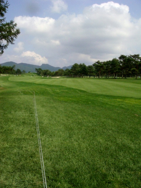 e0154682_2158998.jpg