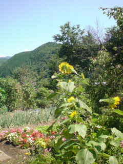 e0033384_10403327.jpg